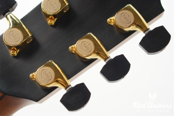 F-50C Cocobolo/Alpine Spruce 